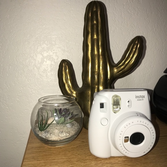 CACTUS DECOR - Picture 2 of 2